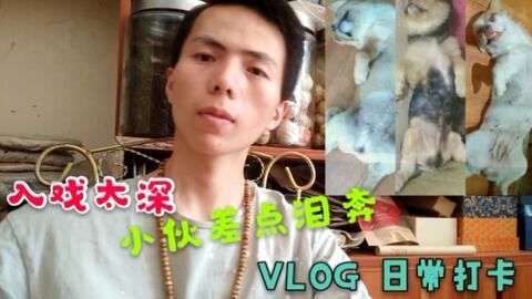 爆料潮汕赵公子视频,揭秘豪门背后的权势与争议  第2张